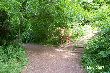 A trail intersects from the right going up a hill. Take the level trail to the left. 