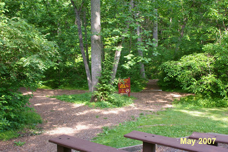 Turn right at the trail intersection just past the amphitheater. Go straight across the intersecting trail to reach a bridge.