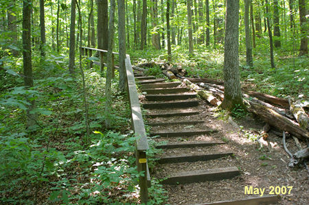 The trail climbs a hill on steps.