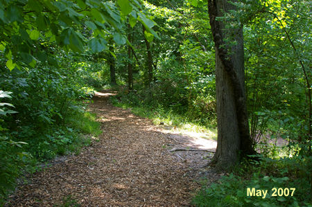 Another service road intersects from the right. Stay on the current trail.