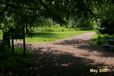 Turn right at the next trail intersection as you leave the woods.