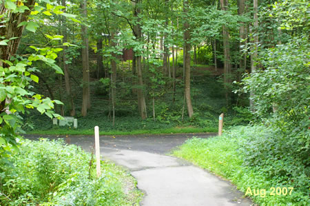 At the next trail intersection turn right and walk through a short wooded area.