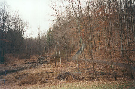 This is the stream in March 2000 before beavers built a dam.