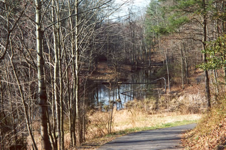 This is the stream in April 2001 after beavers built their dam.