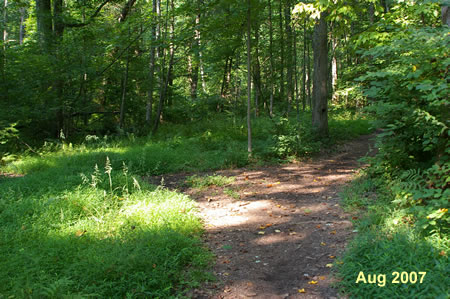 A natural trail intersects from the left.  Go straight on the current path.
