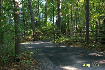 The wide asphalt trail to the left goes down the hill between the houses.