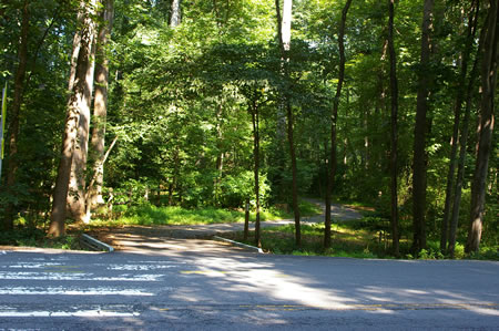 The walk starts at Soapstone Drive at the Glade Stream crossing.