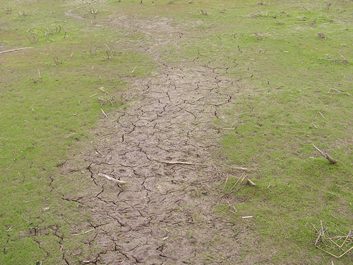 The ground is cracked near one of the major observation areas.