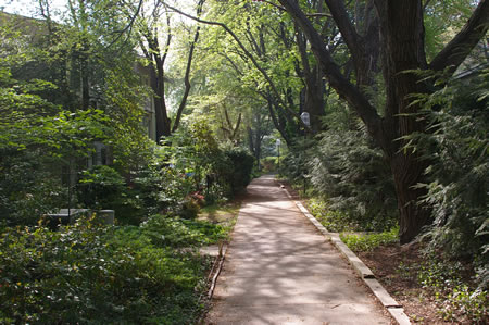 The trail passes a group of homes on the left.