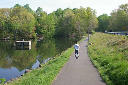 The trail joins a trail along Wiehle Ave and crosses the Lake Anne dam.