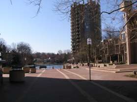 The walk starts at the Lake Anne Plaza parking lot and passes on the west side of Lake Anne towards the tall building in the distance.