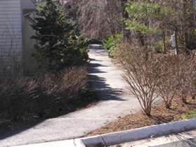 After reaching the end of the sidewalk take the asphalt trail between the homes.