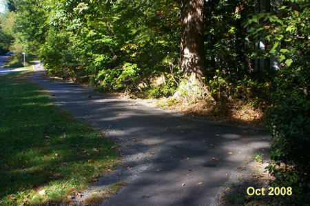 The two routes come together. Go straight on the asphalt trail with Glade Dr. on  your left.