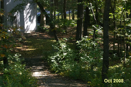 The trail goes through a wooded area between houses.