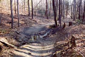 The trail crosses a small creek.