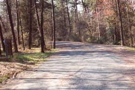 The road parallels the athletic field as it enters the woods.