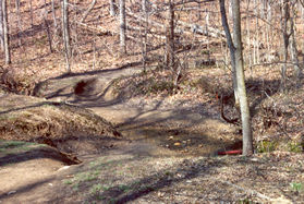 The trail crosses the creek.