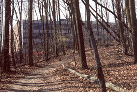 The trail climbs the hill behind the National Wildlife Foundation building.