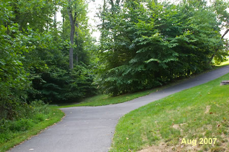 An asphalt trail intersects from the right.  Continue on the present trail to the left.