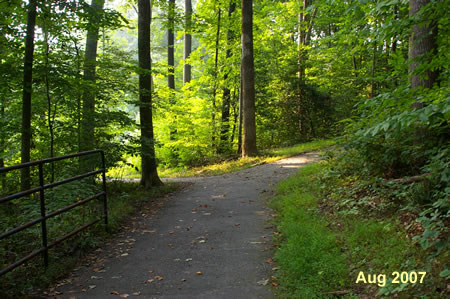 An asphalt trail intersects from the right.  Continue on the present trail to the left.
