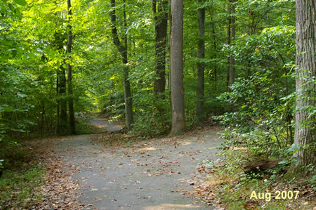 An asphalt trail intersects from the right.  Continue on the asphalt trail to the left.