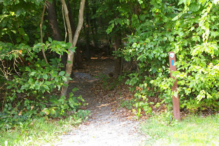 Walk across the cul-de-sac and follow the narrow gravel trail on the other side. Notice the sign post in the picture.