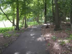 The trail remains in the wooded area for a short distance.