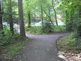 An asphalt trail intersects from the left from Soapstone Dr.  Turn right to follow the trail as it continues through the woods.