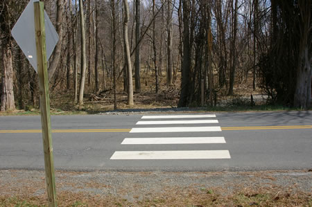 This section of trail starts at the crosswalk on Leigh Mill Rd.
