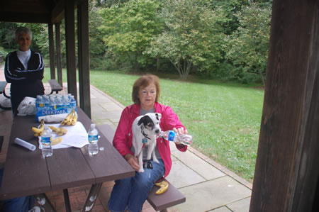 Pets need refreshments also.