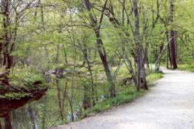 To the left of the trail is the original Patowmack Canal.