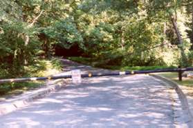 The trail will lead to a service road that curves away from the parking area and goes up a hill.
