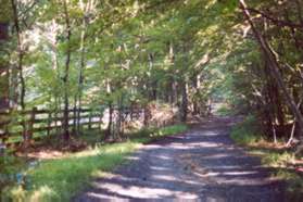 The fence shown marks the start of private property on the left of the service road.