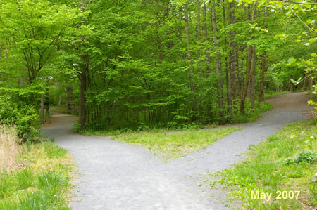 A trail intersects from the right. Stay straight on the present trail.