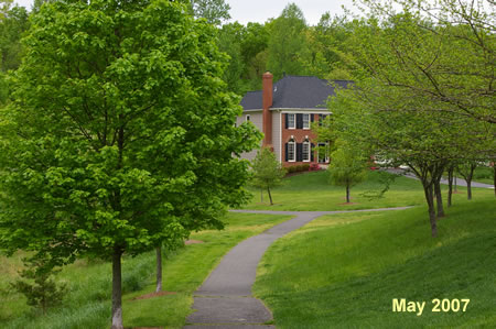 The trail passes behind houses on the right.