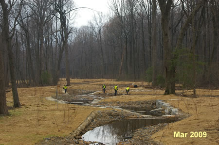 Planting trees near new bridge.