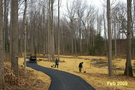 Planting trees on side stream  near high school.  Trail has been repaved.