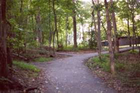The trail passes 3 trail intersections to the left.  Keep to the right.