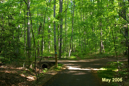 Shortly after crossing the bridge a n asphalt trail intersects. Take the trail to the left.