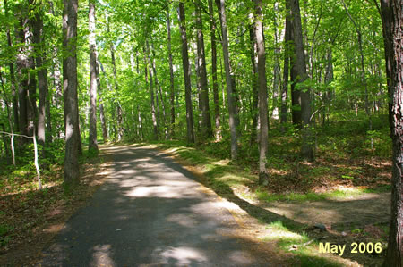 After the asphalt trail curves to the right a dirt trail appears on the right.  Turn right onto that trail.