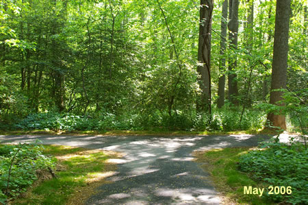 Turn left onto the intersecting asphalt trail at the bottom of the hill.