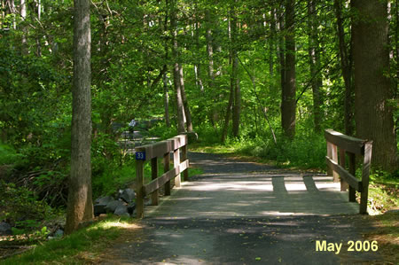 The trail crosses Snakeden Stream.