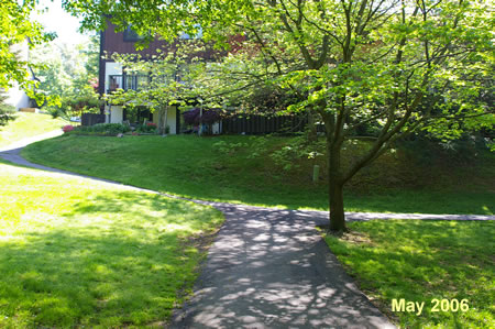 Turn right at the next asphalt trail intersection and return to a wooded section of trail.