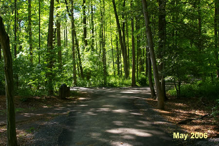 Continue to keep to the right at intersecting trails until crossing Snakeden Stream.