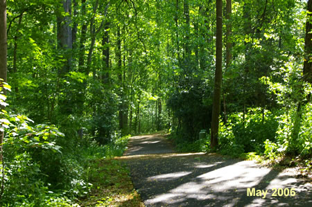 Follow the trail through the woods with homes on the right.