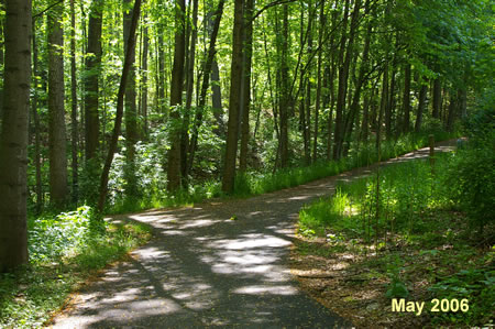 An asphalt trail intersects from the left. Continue straight on the present trail.