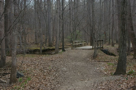 The trail crosses this bridge.  The road fords the stream to the left of the bridge.