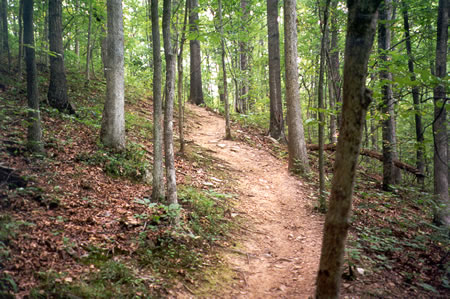 The trail climbs back up the hill and stays close to the homes on the top.