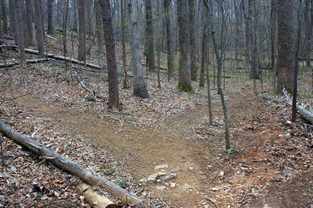The trail descends another hill. A trail intersects from the left. Continue straight down the hill to reach the bottom..
