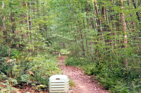 Near the top of the hill homes appear on the left. This utility box will help to confirm you are on the right trail.
